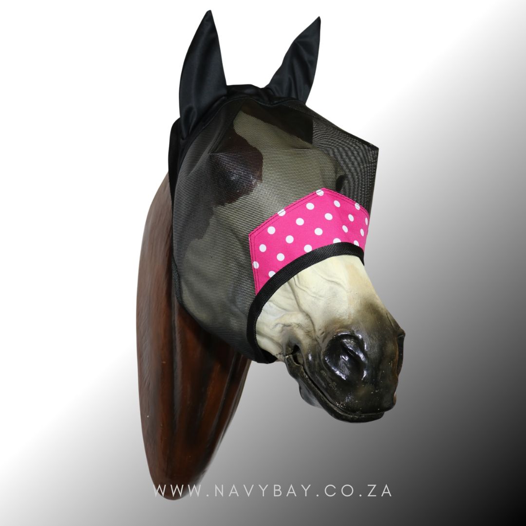 Apex (Prints) - Stock - Image 12