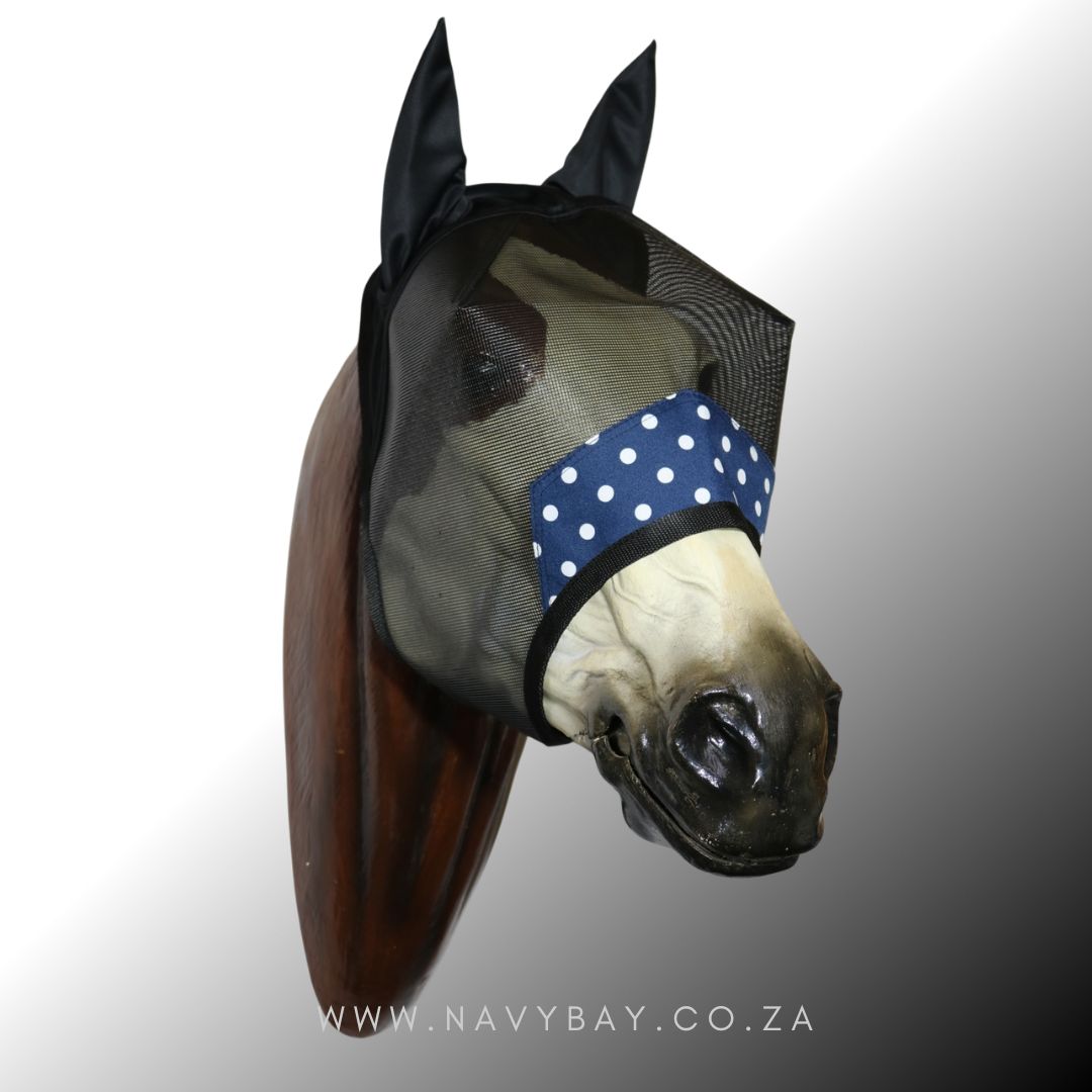 Apex (Prints) - Stock - Image 11