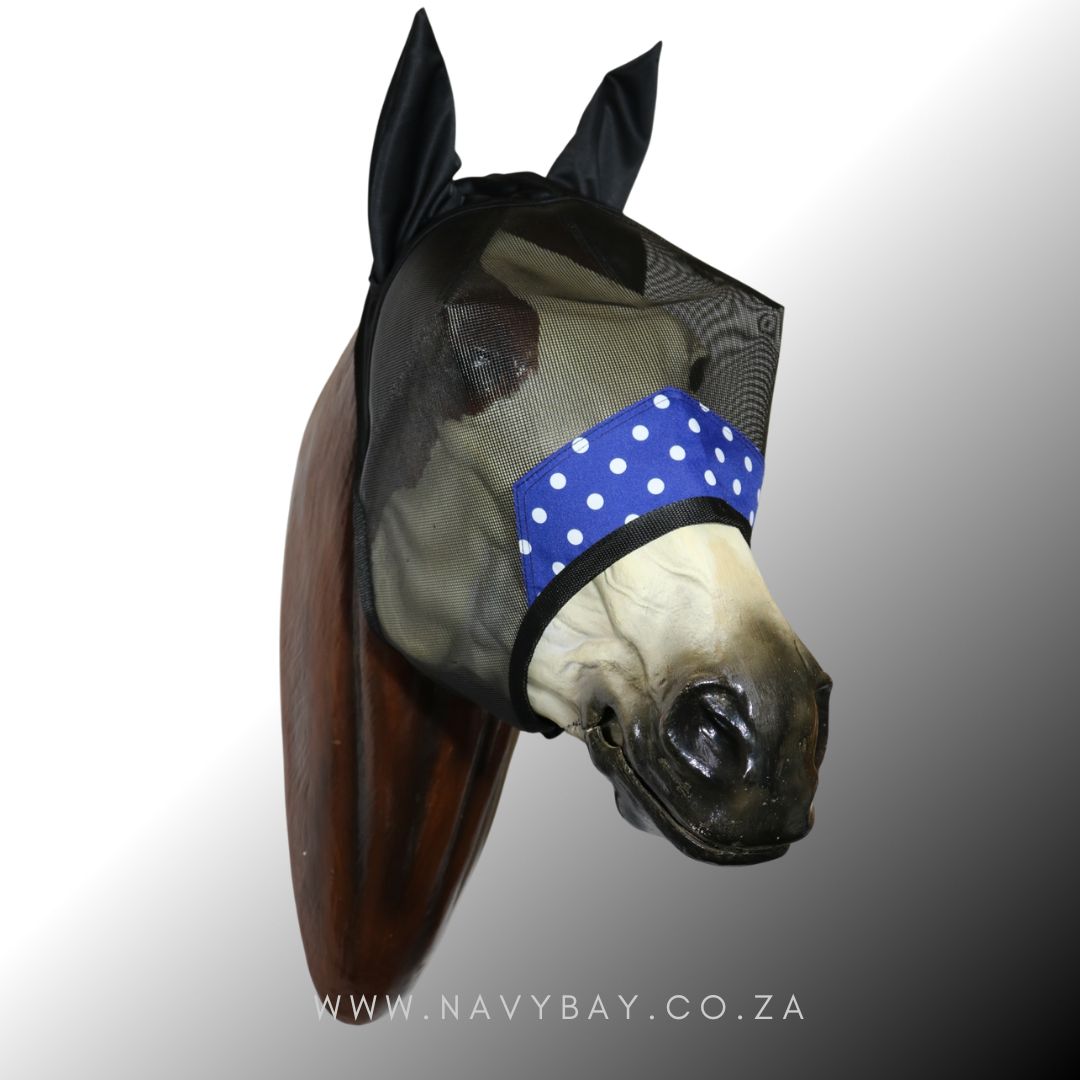 Apex (Prints) - Stock - Image 9